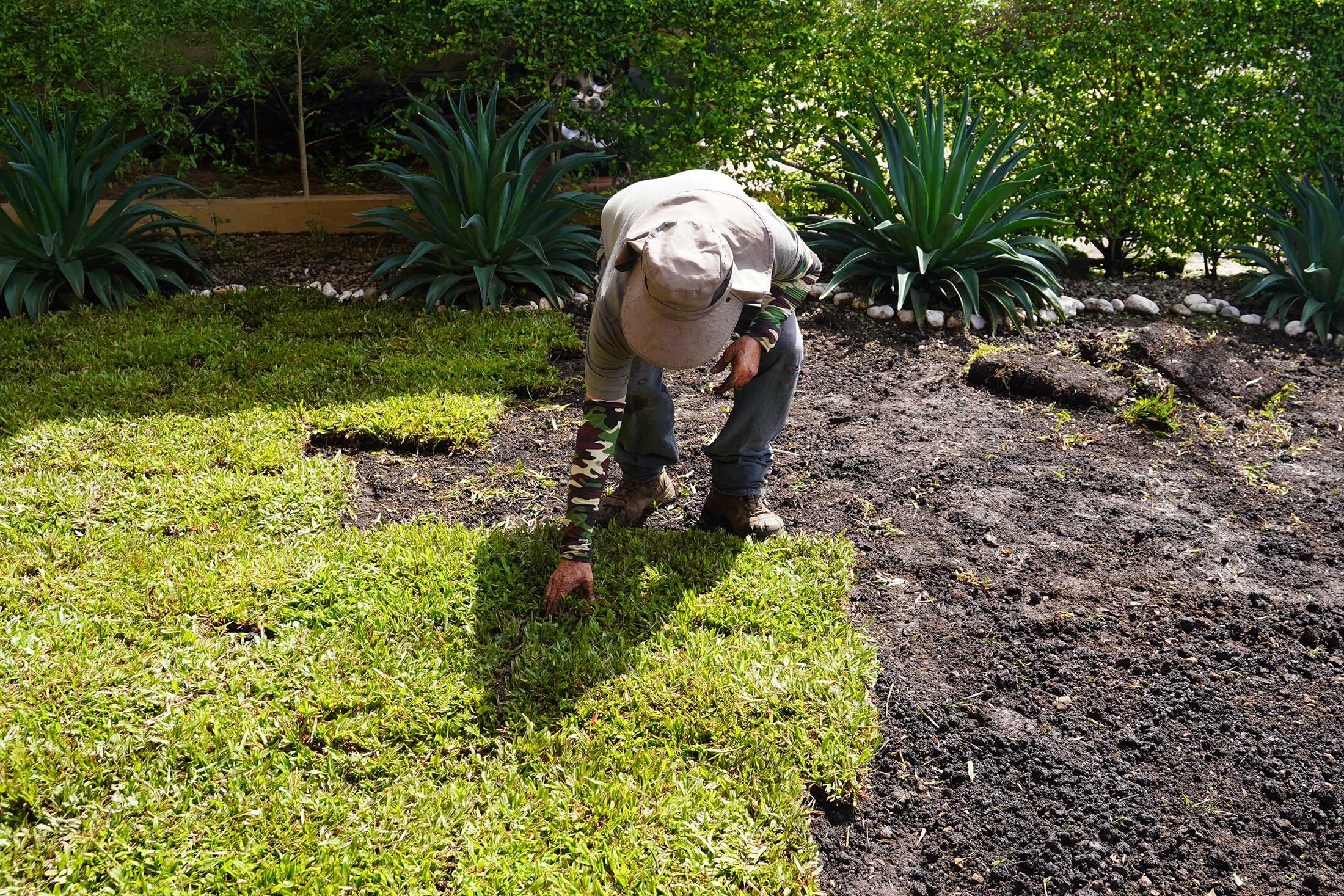 Imagen de un jardín con zacate natural en Costa Rica
